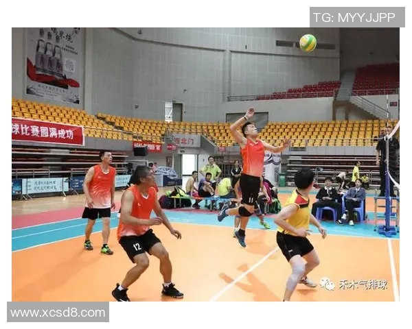 成都排球队的战术解析与控制能力深度探讨 成都排球队的战术解析与控制能力深度探讨