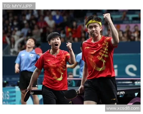 深圳乒乓球队配合策略分析与团队协作提升探讨 深圳乒乓球队配合策略分析与团队协作提升探讨