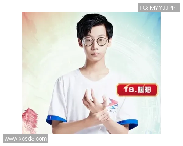 王者荣耀战术解析LNG战队控制体系的深度剖析与应用探讨